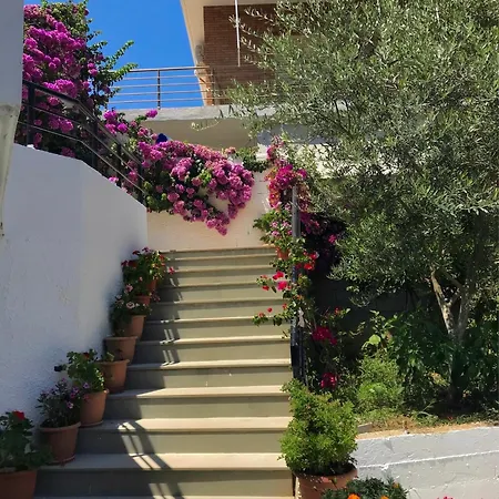 Silvana's Vlorë